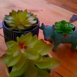 Have a great day! ❤️